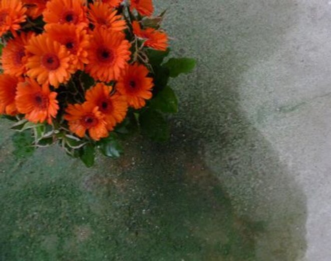 Sophie Calle se souvient